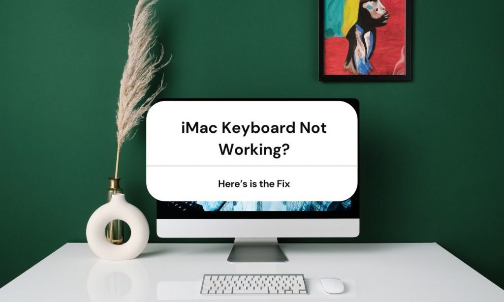 iMac Keyboard Not Working Here's is the Fix