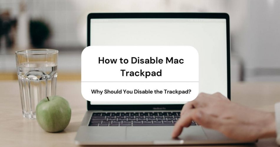 disable mac trackpad