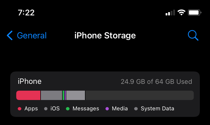 Check iPhone Storage for App Download