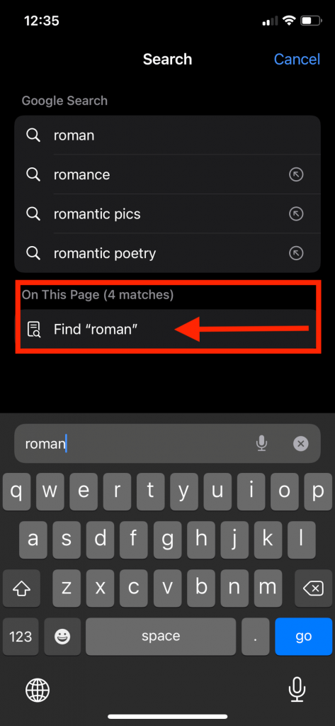 search in website safari iphone