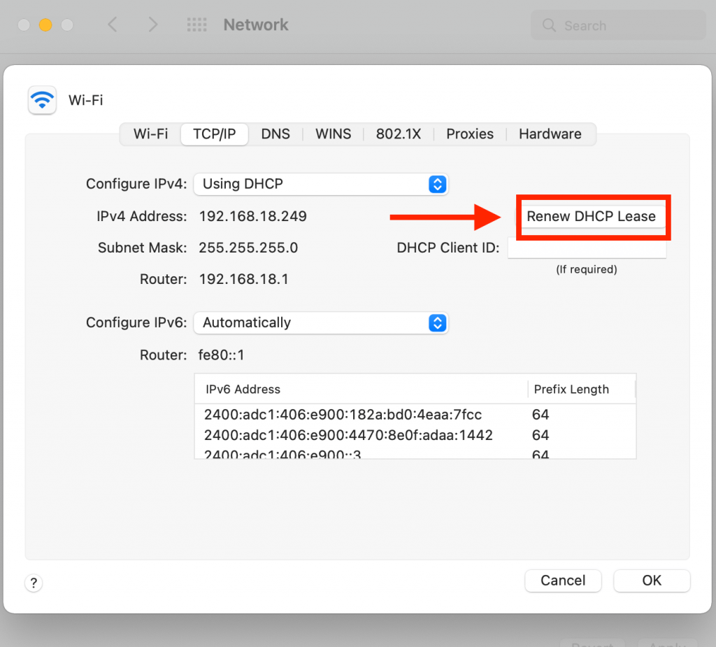 self assigned ip address mac monterey